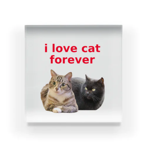 i love cat forever Acrylic Block