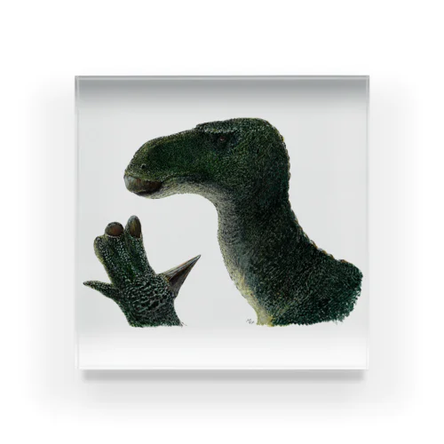 iguanodon（彩色） アクリルブロック