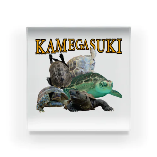 KAMEGASUKI アクリルブロック