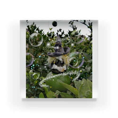 majo ✼garden Acrylic Block