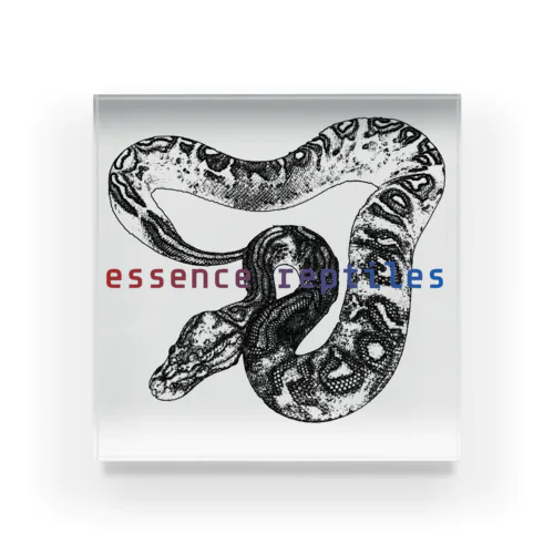 essence reptiles bp Acrylic Block