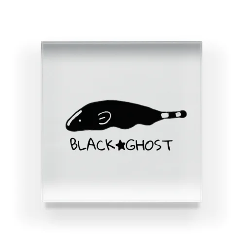 BLACK★GHOST　くろちゃん　ブラックゴースト アクリルブロック