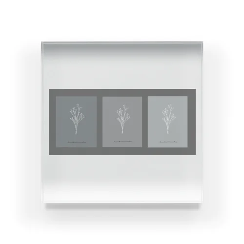 3 frame gray Acrylic Block