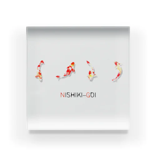 NISHIKI-GOI アクリルブロック