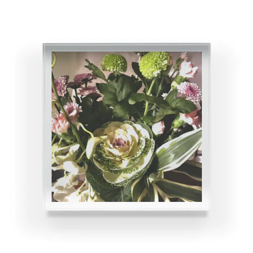 葉牡丹 / The flowering kale Acrylic Block