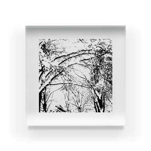 冬の木 アクリルブロック