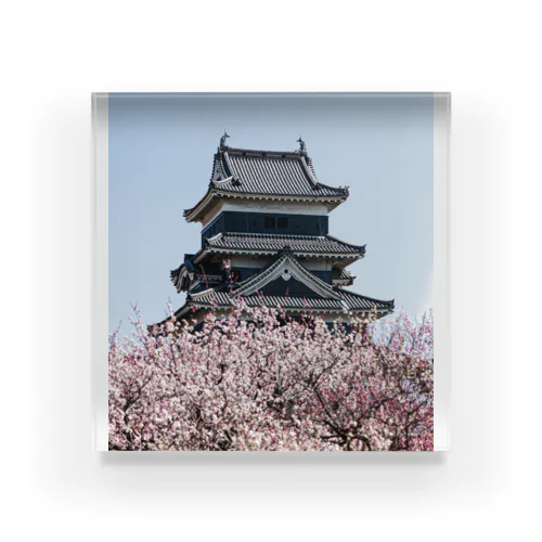 松本城と梅 Acrylic Block