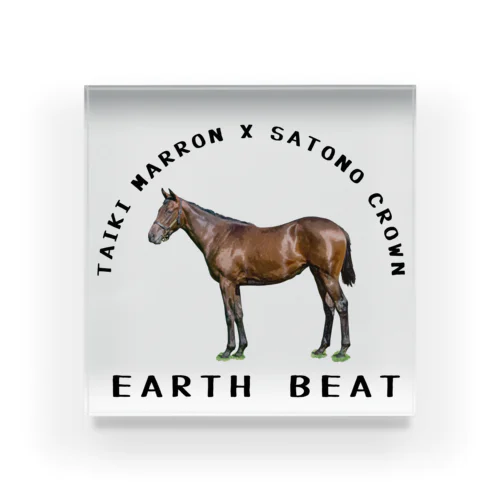 EARTH BEAT Acrylic Block