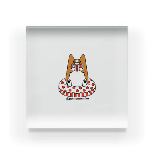 pomamomiko コーギー　Tシャツ WelshCorg Corgi 読書 Acrylic Block