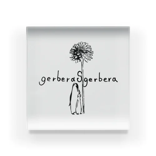 gerberasgerbera Acrylic Block