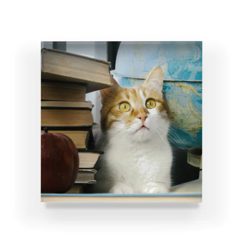 図書館猫 Murchik ♡ Librarian Cat ♡ Ukrainian cat ウクライナ 本と猫 Donation Items Acrylic Block