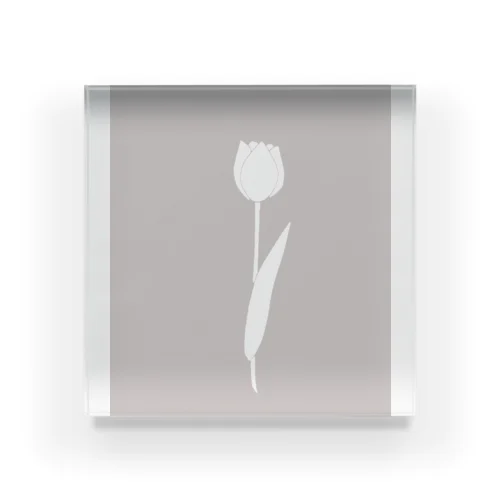 Tulip silhouette Acrylic Block