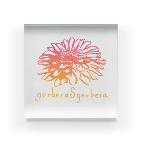 gerberasgerbera Acrylic Block