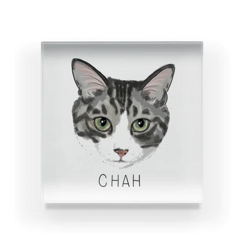 chah Acrylic Block