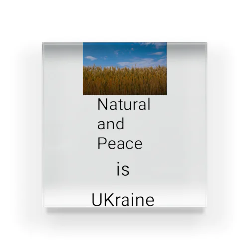 To want peace UKraine  Acrylic Block