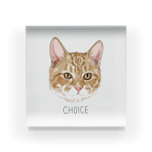 choice Acrylic Block