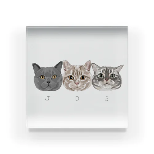 J&D&S Acrylic Block