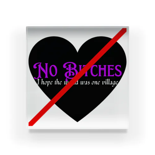 No  Bitches Acrylic Block