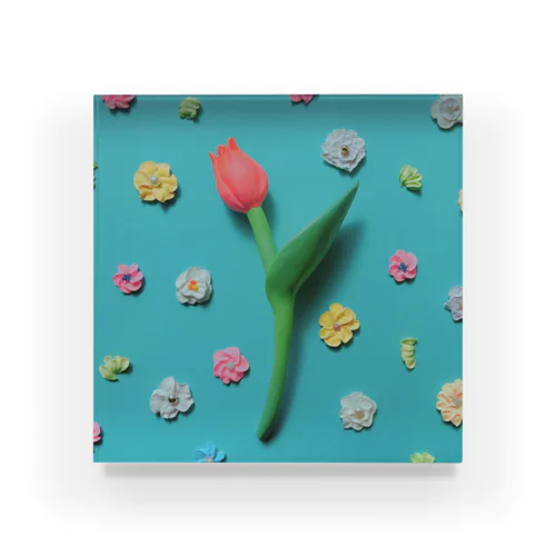 ピンクチューリップの春 Acrylic Block