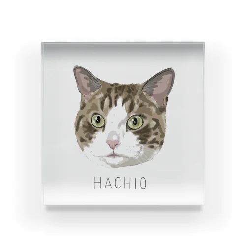 hachio Acrylic Block