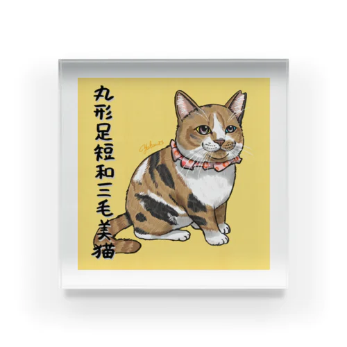 和三毛猫 Acrylic Block