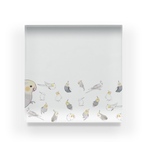 あつまれオカメインコちゃん【まめるりはことり】 Acrylic Block