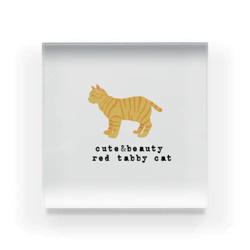 猫1-5 茶トラ猫 Acrylic Block