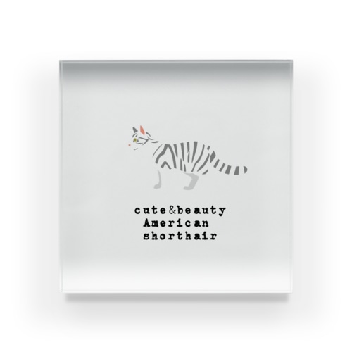 猫1-11 アメリカンショートヘア Acrylic Block