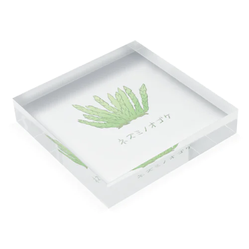 ネズミノオゴケ【苔グッズ】 Acrylic Block