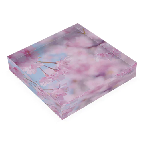 光桜 Acrylic Block