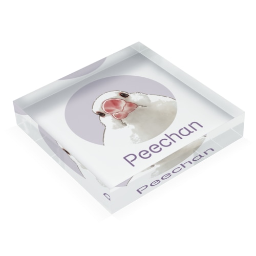 2 Acrylic Block