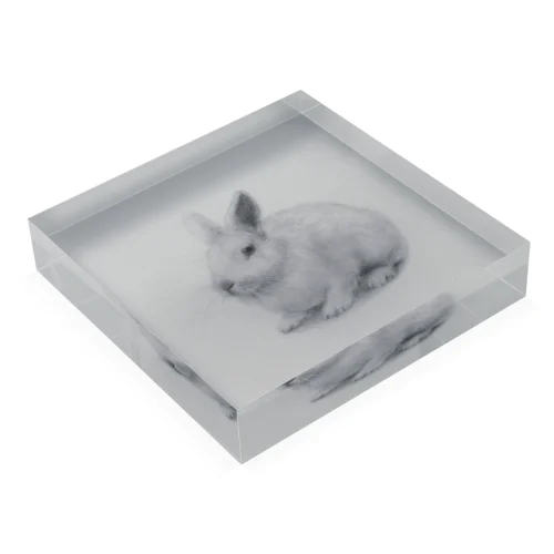 透明ウサギ2（gray） Acrylic Block