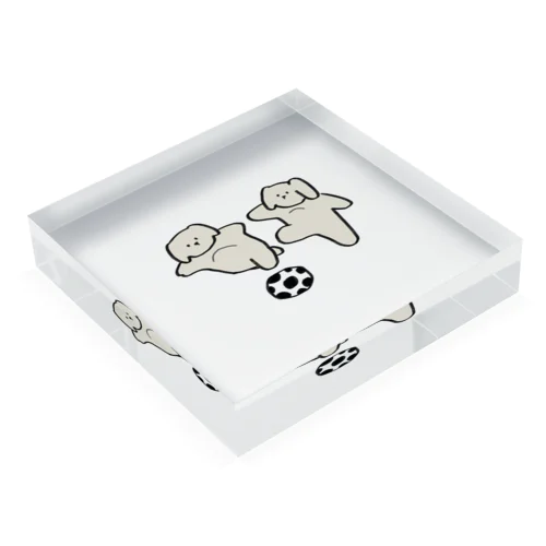 Two cute puppies playing football. Acrylic Block