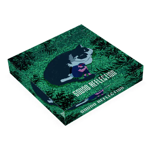 Sound Reflection | FOREST CAT Acrylic Block