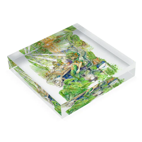 観葉植物ルーム Acrylic Block