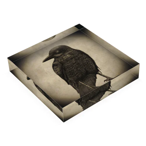 Crow Acrylic Block