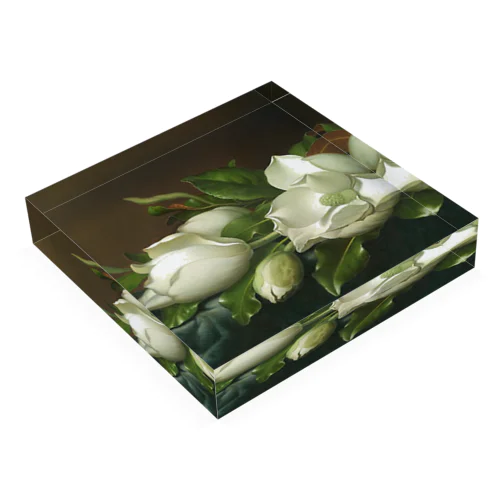 Magnolias on Light Blue Velvet Cloth, 1885/95 | Martin Johnson Heade Acrylic Block