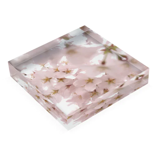 窓辺の景色（桜） Acrylic Block