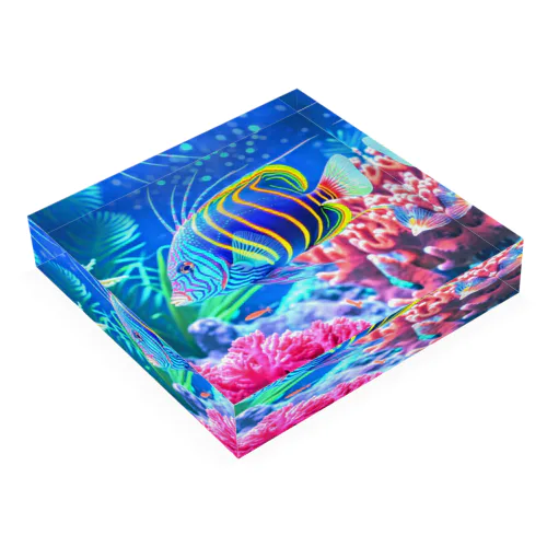 Tropical Fish Collecting #03 Acrylic Block