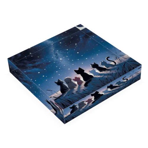 星降る夜、猫たちの願い事 Acrylic Block