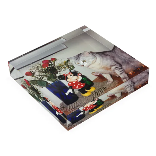 Mundy Moon the Cat Acrylic Block