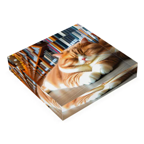 眠りネコ Acrylic Block