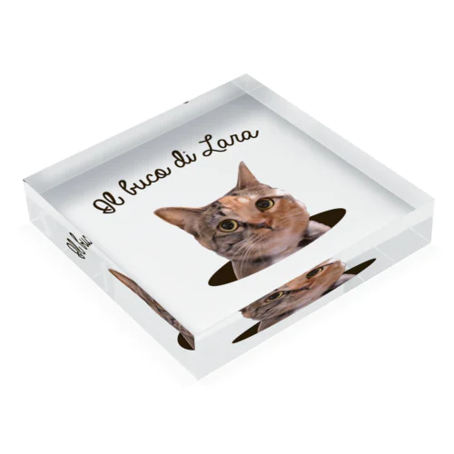 Il buco di Lara Acrylic Block