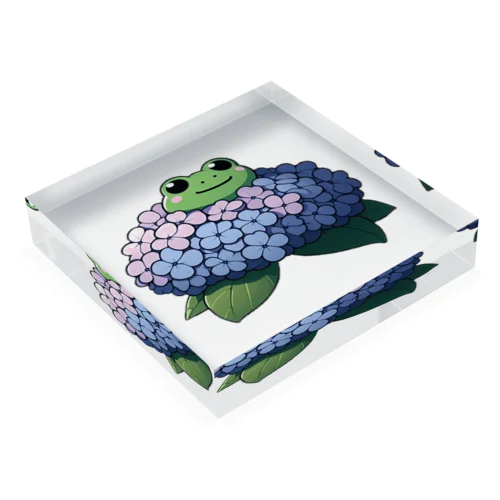 紫陽花の花と可愛いアマガエル🐸 Acrylic Block