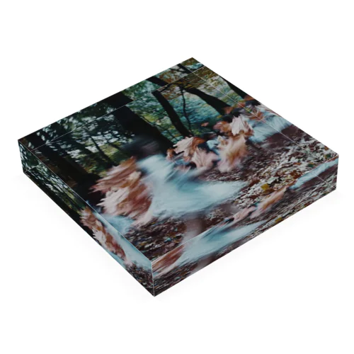 Whispers of Fallen Leaves Acrylic Block