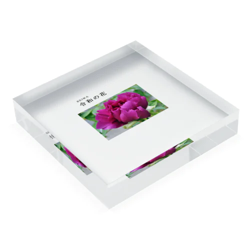 日本観光キャンペーン　令和の花 Acrylic Block