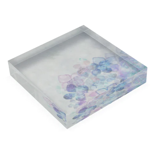 あじさいふれぐらんす Acrylic Block