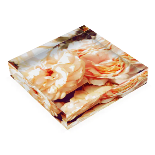 Vintage Rose Acrylic Block