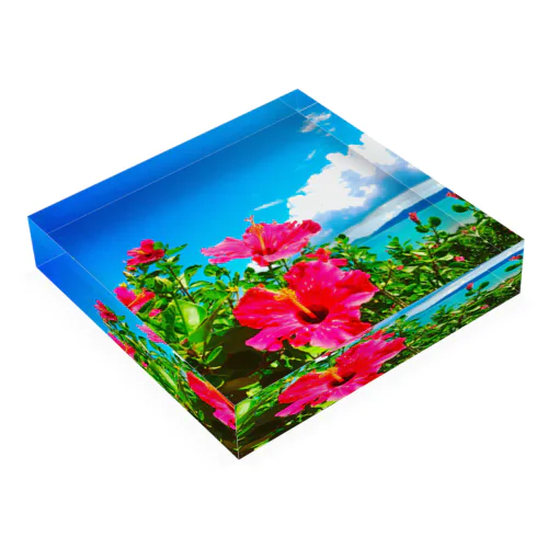 tropicalize me Acrylic Block