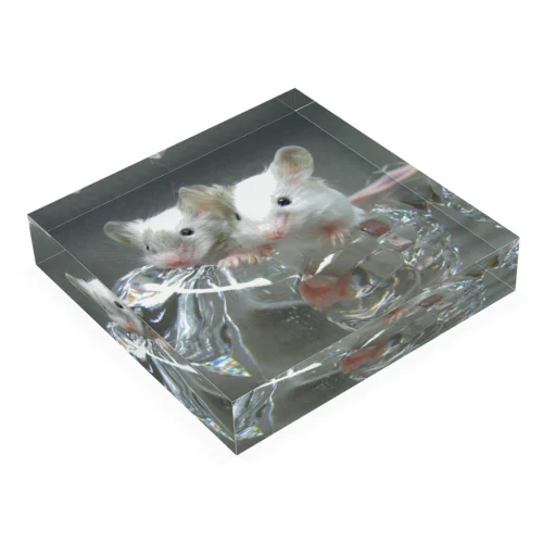 Little mice rides a glass bird Acrylic Block